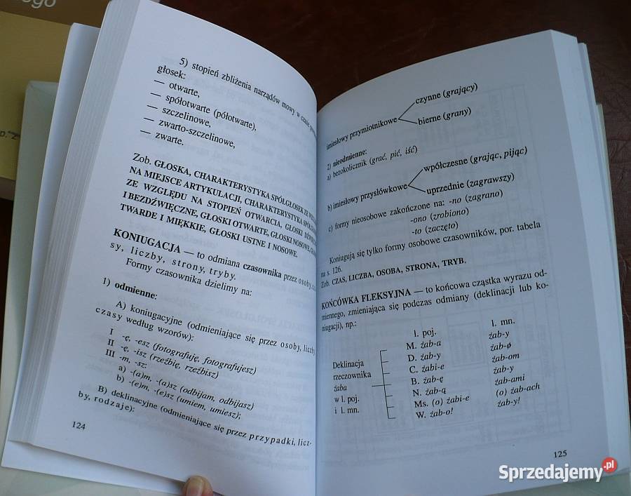 Mały słownik terminów gramatycznych Suwałki