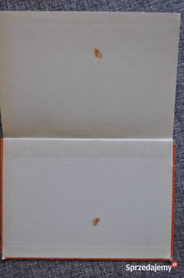 Siedemnastolatek Booth Tarkington Warszawa