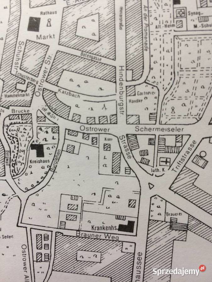 1223 SULĘCIN Kopia Planu Miasta Antykwariat Szczecin