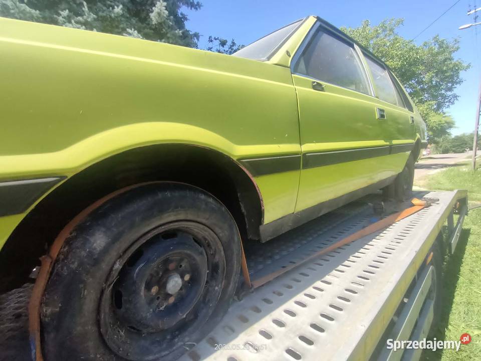 Zastava - Polonez Borewicz