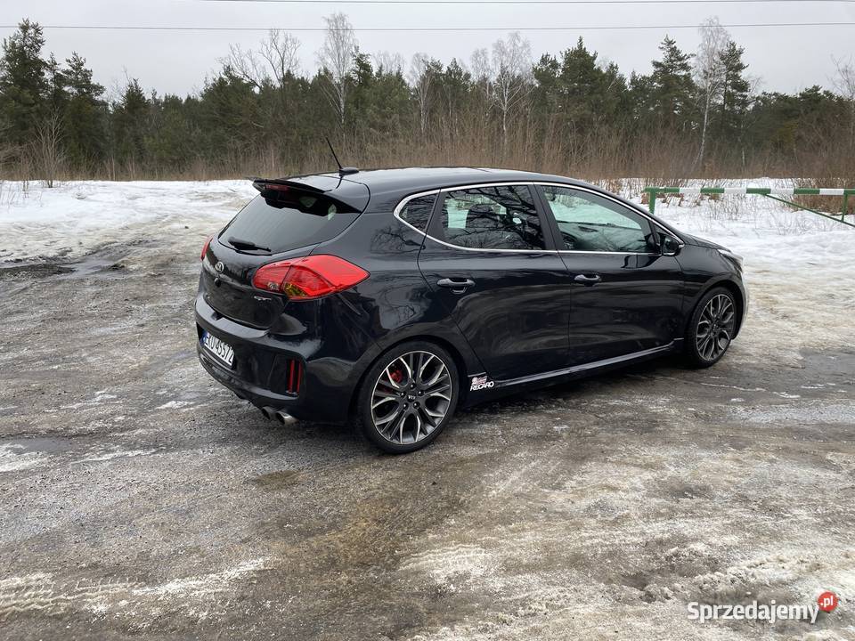 Kia Ceed GT 16 TGDI 204 PANORAMA RECARO Rok produkcji 2014 Warszawa sprzedam