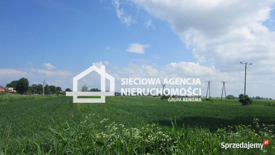 Działka 4000m2 Sztutowo pomorskie sprzedam