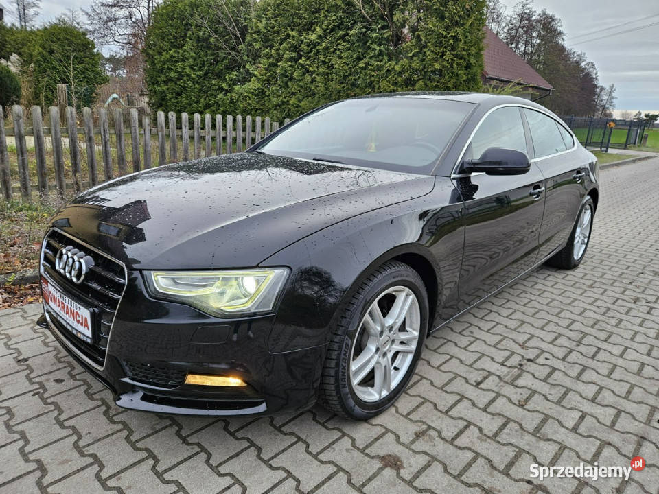 Audi A5 Sportback 1213r 177 Navi Zadbany Rata800 tempomat wielkopolskie sprzedam