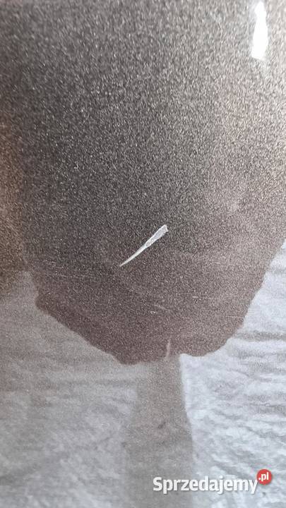 Drzwi Lewe Boczne przesuwne Nissan NV200 kujawsko-pomorskie