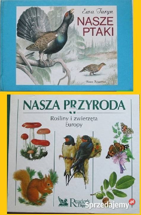 Nasze ptaki TurynNasza przyroda rośliny i Kultura i Rozrywka łódzkie