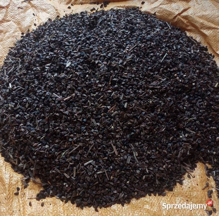 Sprzedam grykę Integrowana produkcja Mielec sprzedam