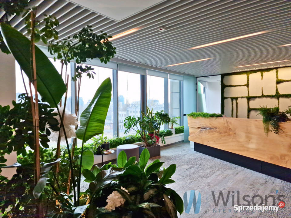 wynajmu lokalu Warszawa Prosta 60m2 60m2