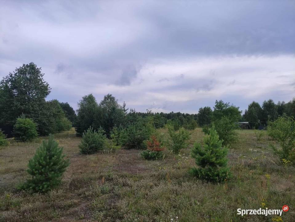 Działka rolnobudowlana Jacentów gm Radoszyce