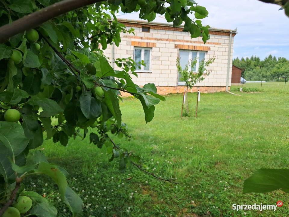 Bajecznie usytuowane siedlisko pod Bychawą Sprzedaż Gałęzów