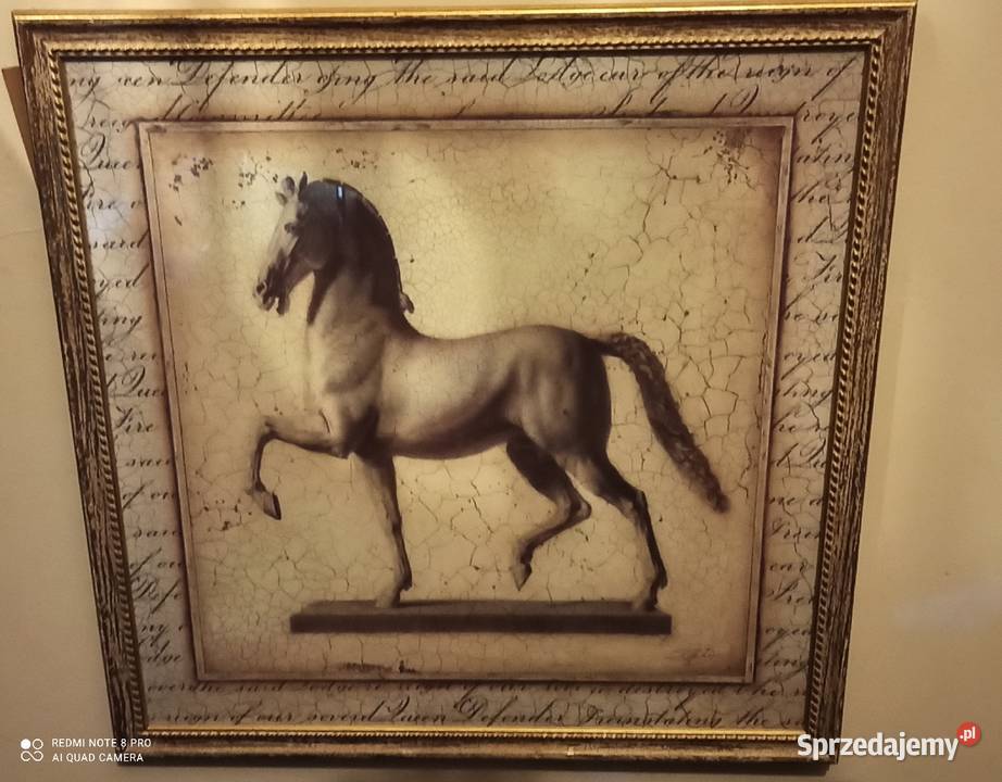 Obraz z koniem Sygnowany Replika pod szkłem Ramy Gdańsk