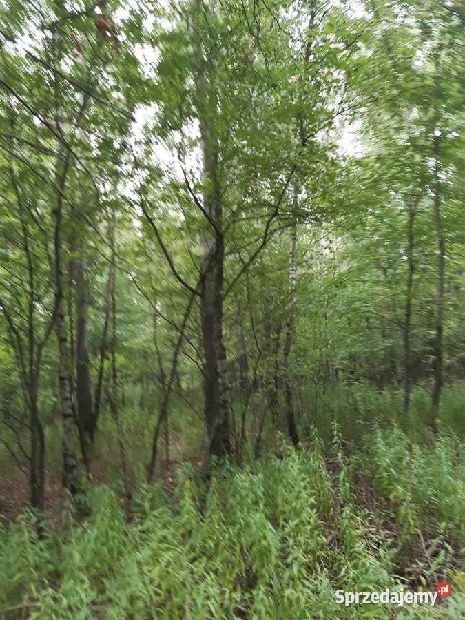 działka rolno budowlana Kosowy sprzedam