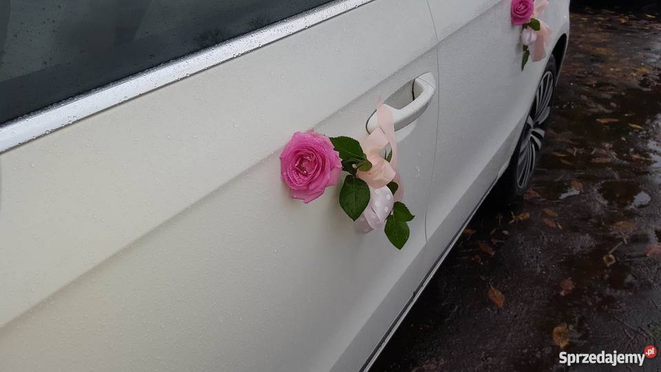 Auto do ślubu Mława 300 zarezerwuj termin mazowieckie