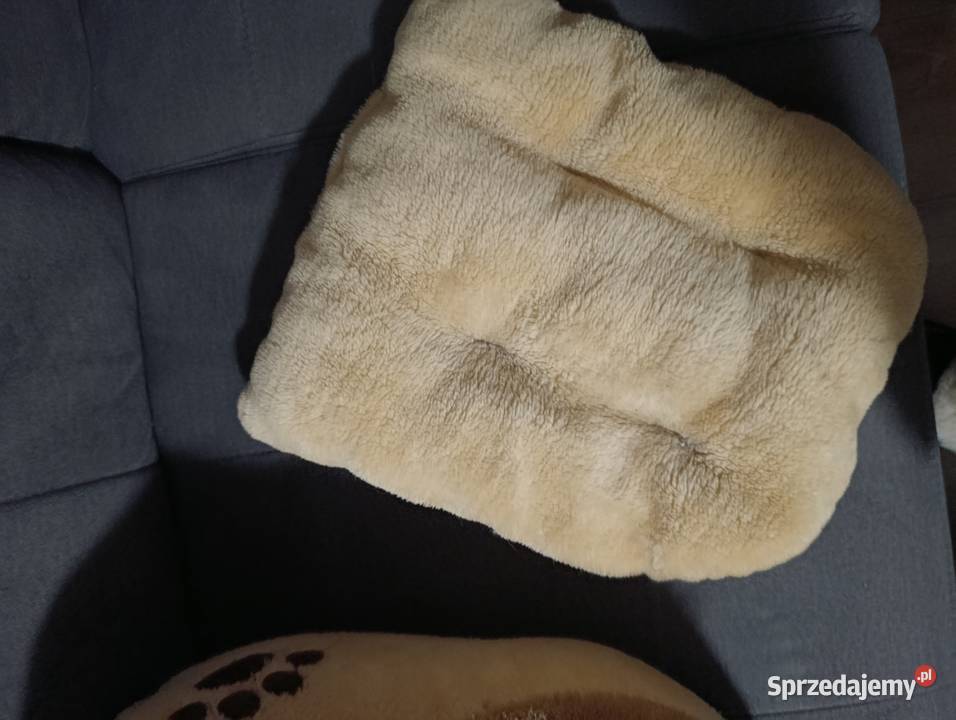 budka legowisko domek kota psa Poznań sprzedam