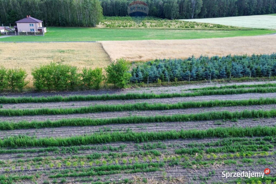 Działka budowlana 1123m2 Mszczonów 28m Sprzedaż