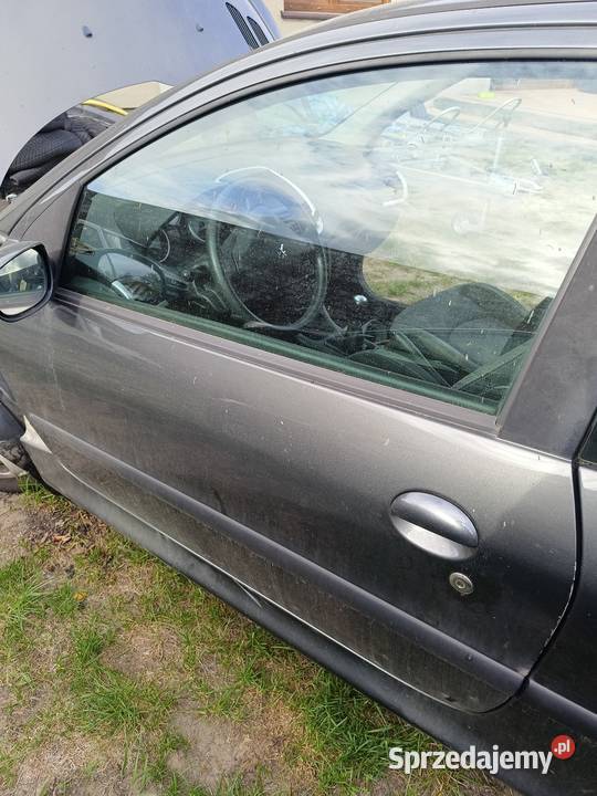 Drzwi lewe Peugeot 206 Kopanica