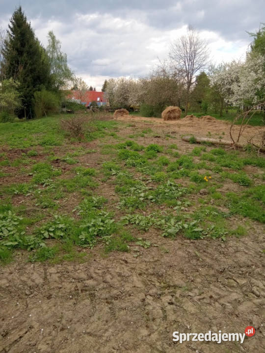 Na sprzedaż działka rolna Wilkanów Nieruchomości dolnośląskie