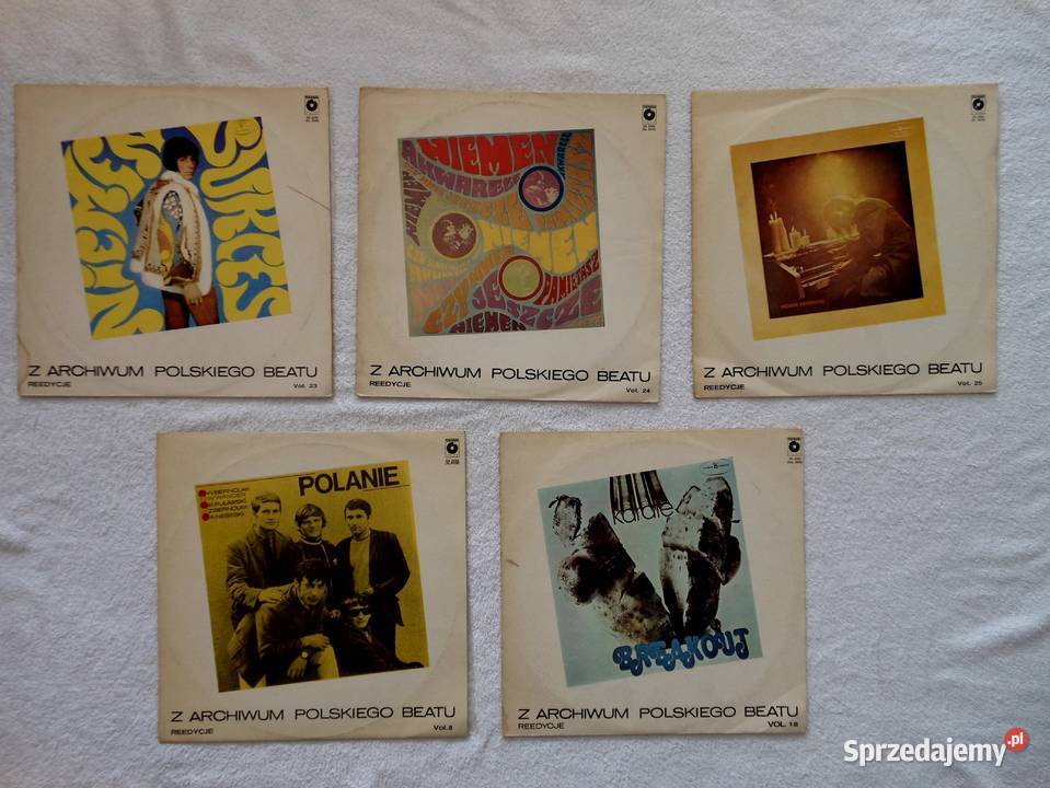 Kilkanaście płyt winylowych z The Beatles warmińsko-mazurskie