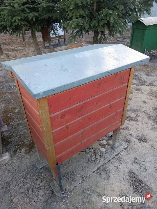 Ule warszawskie Kielce