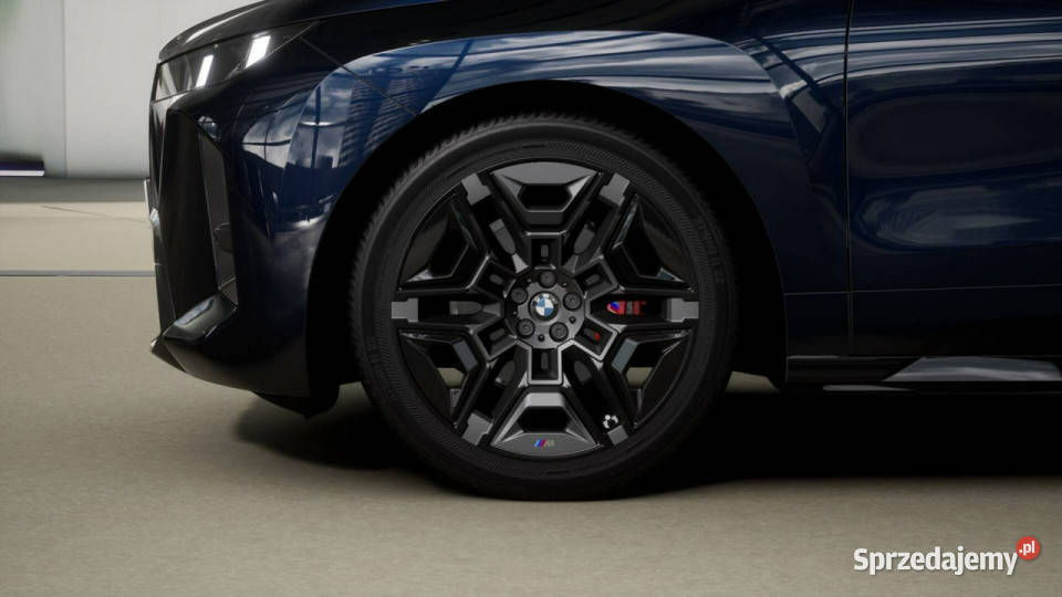 BMW iX iX xDrive45 Dostępne ręki autoalarm