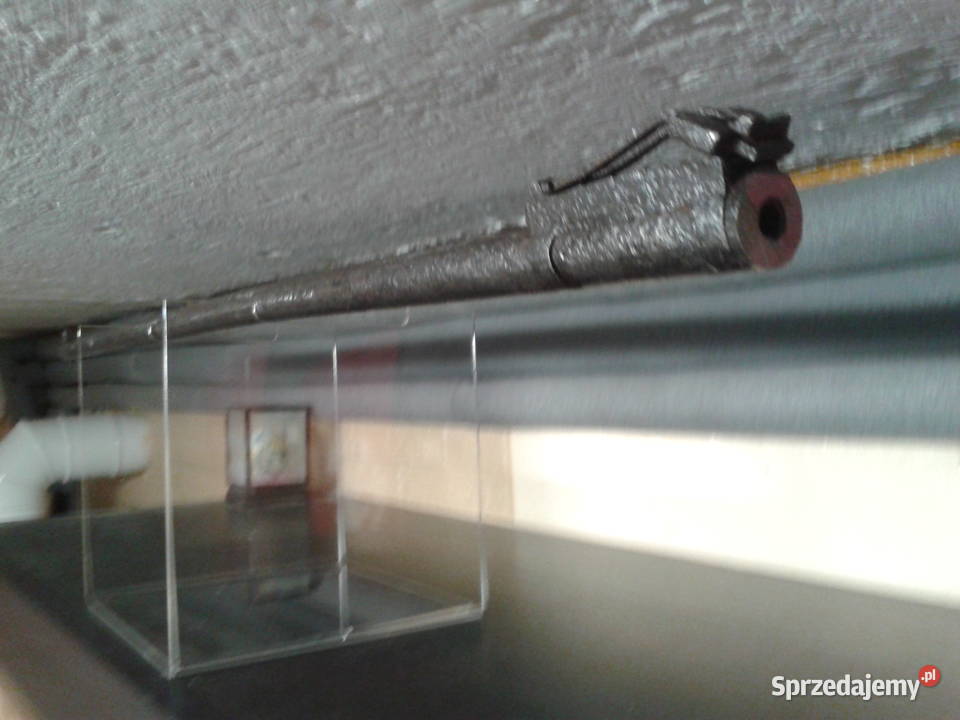 lufa Berthierstaroć Sporty strzeleckie i myślistwo wielkopolskie sprzedam