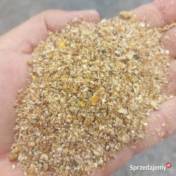 mieszanka kukurydza ddgs Siedlce