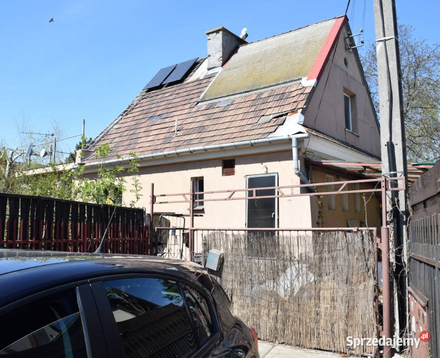 Gołąbki Jesienna 30 Sprzedaż Warszawa