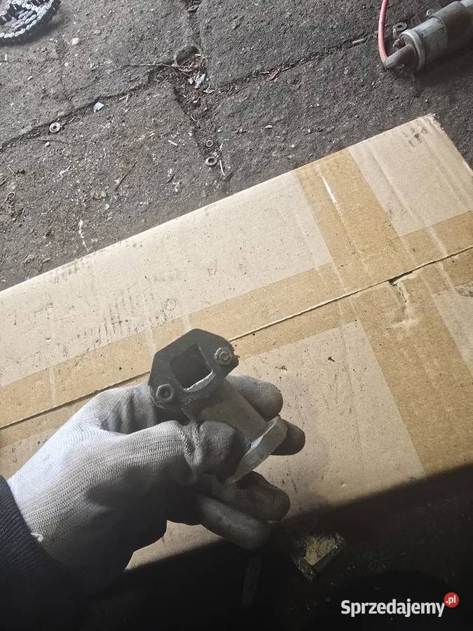 Krociec jawka Gorzów Wielkopolski sprzedam