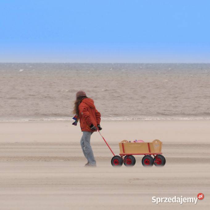 koła bezdętkowe do taczki wózka 2 Białystok