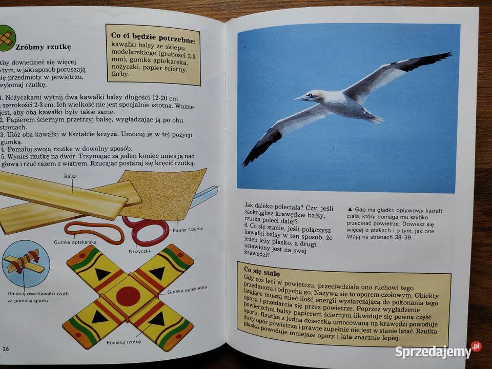 Zabawa i nauka Kolor i światło Powietrze i Kraków