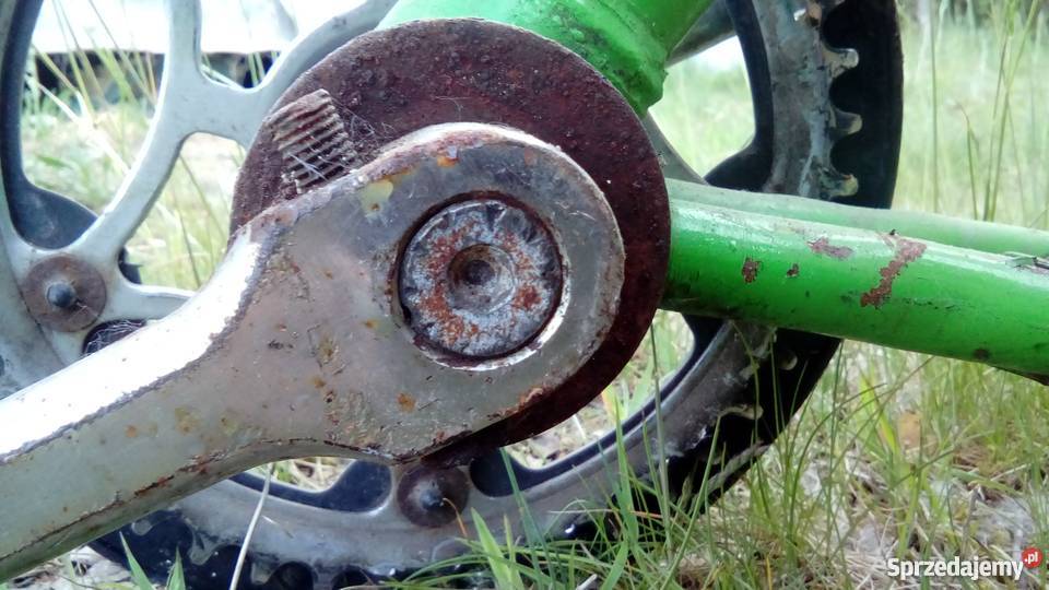 Rosyjski składak Rambynas nie wigry jubilat Kębłowo