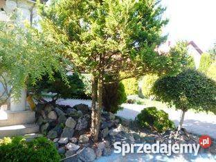 Do Sprzedania Dom w stylu Pałacowym w Mławie balkon Mława