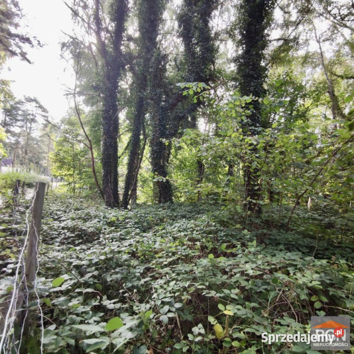 Działka Pobierowo Bukowa 1055m2 sprzedam