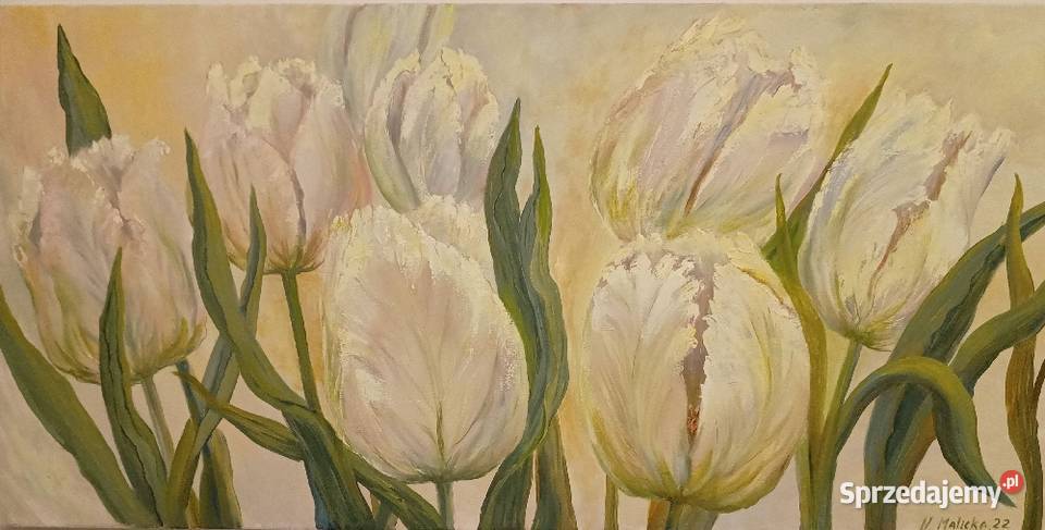 Białe na białym 50x100olej mazowieckie
