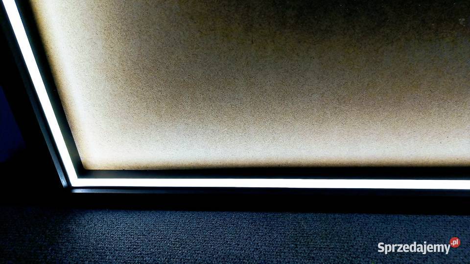 Rama z podświetleniem LED 100x40 z paprociami Kraków