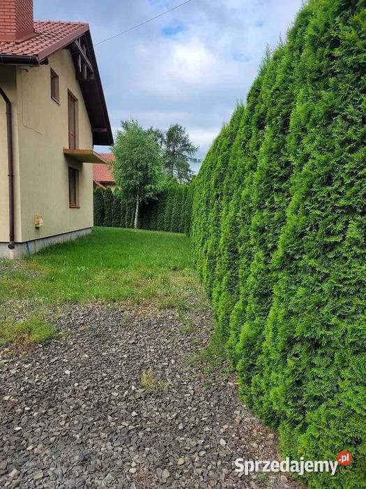 Sprzedam dom mieszkalny jedn w zabudowie 5396zł/m2 Nowy Sącz