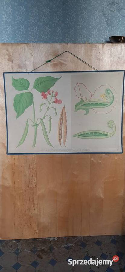 Tablice edukacyjne prl dolnośląskie Świdnica