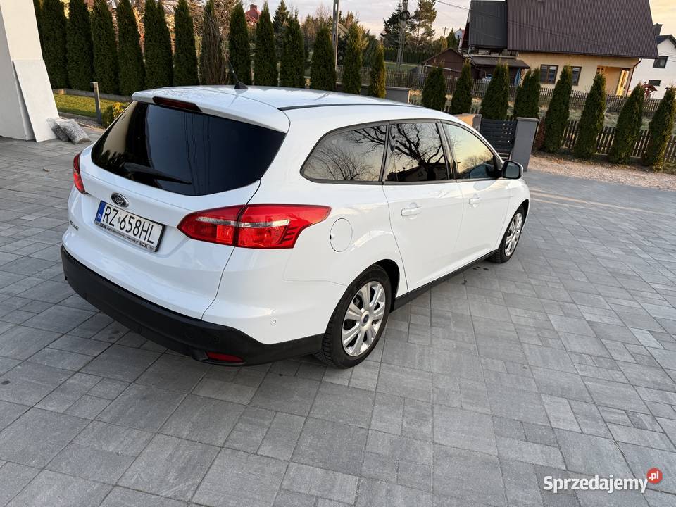 Ford Focus Ekonomiczny 2015 15 diesel Rzeszów