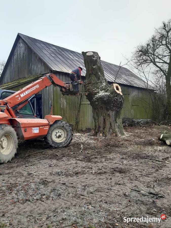 Usługi Ogrodnicze Kraśnik prace ogrodowe