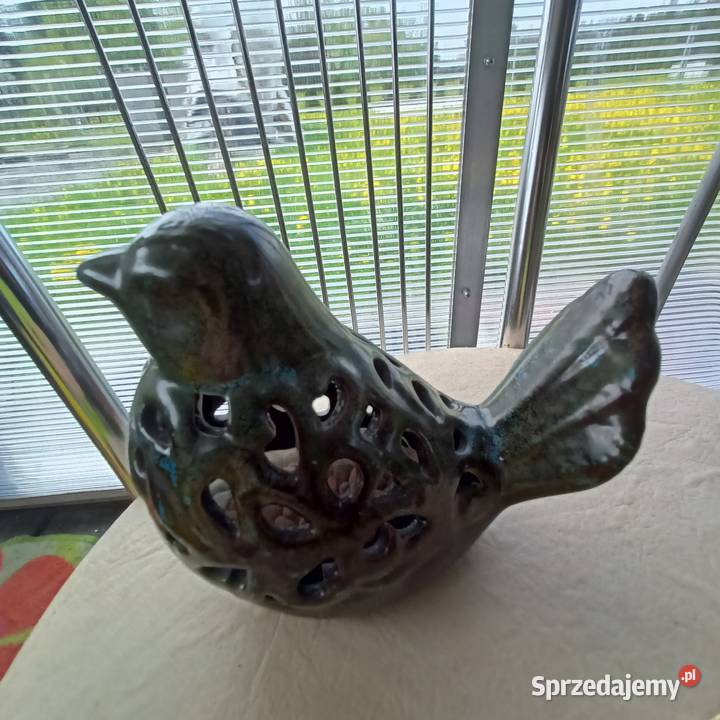 Ptak dekoracyjny Rzeszów