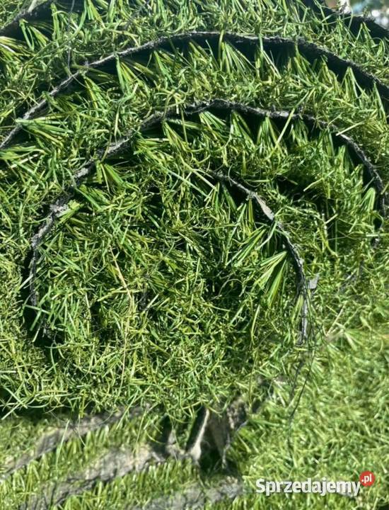 Plac ZabawOgródSztuczna Trawa Grodzisk Mazowiecki