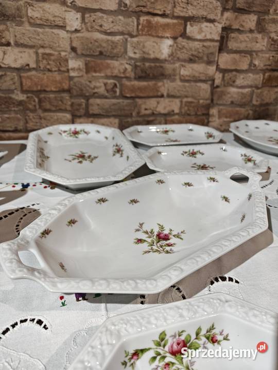 Rosenthal Maria Moosrose duży zestaw porcelany Sandomierz