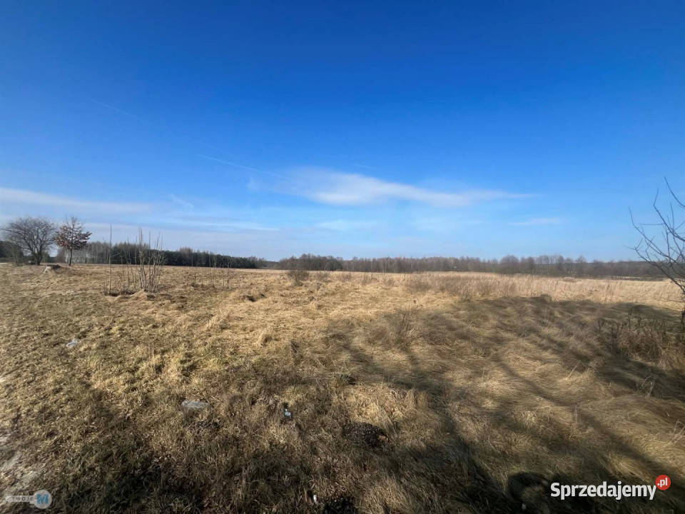 Działkę sprzedam Śladków Duży 43100m2 świętokrzyskie