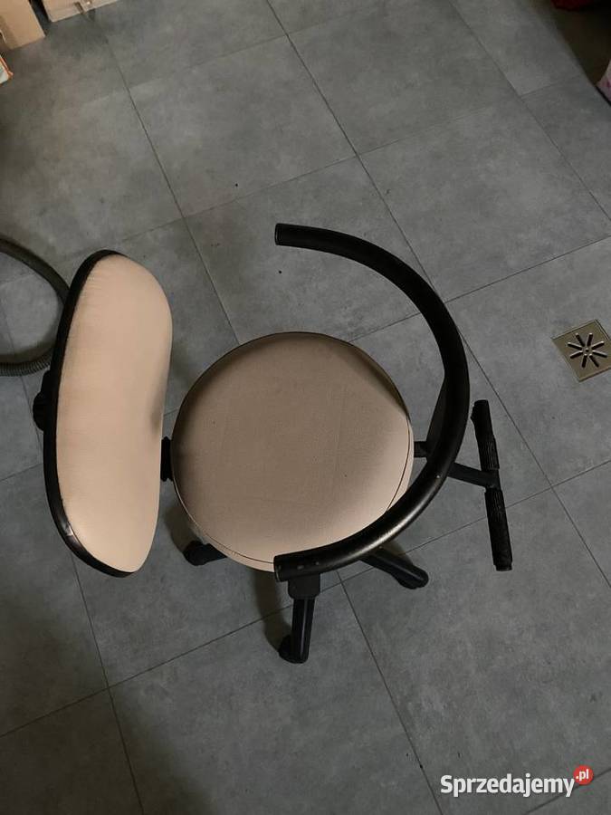 sprzedam fotelik fryzjerski do strzyżenia dzieci Dobrzyniewo Duże