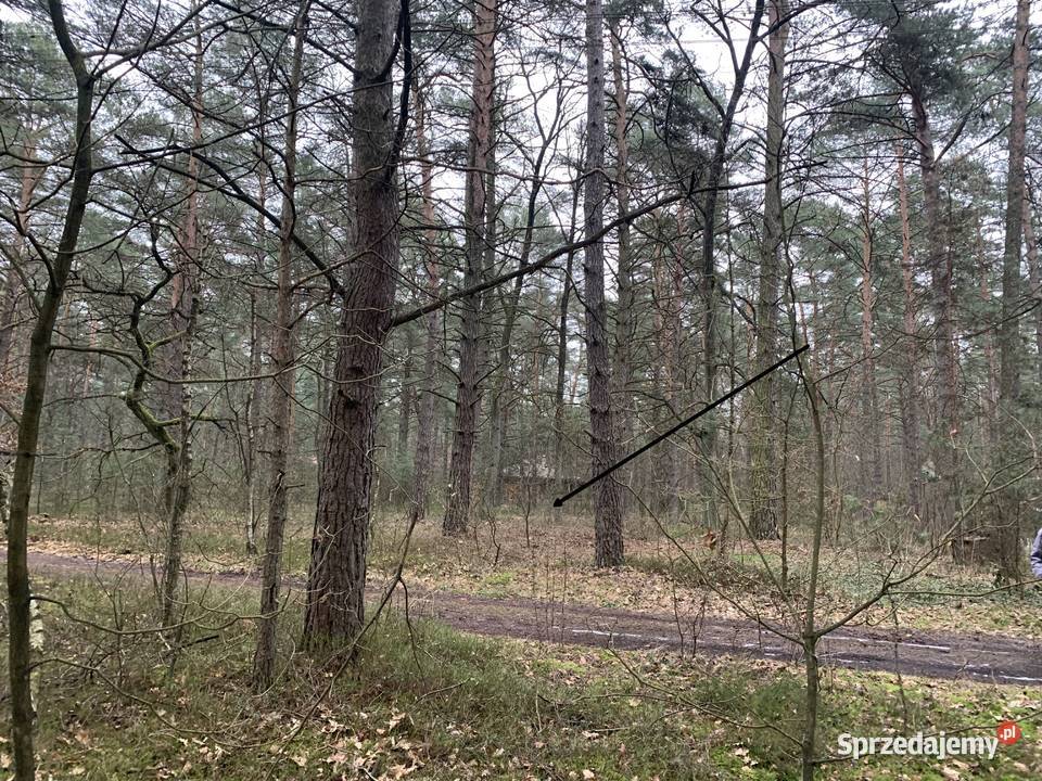 Świetna działka sprzedam Sprzedaż mazowieckie Wilga