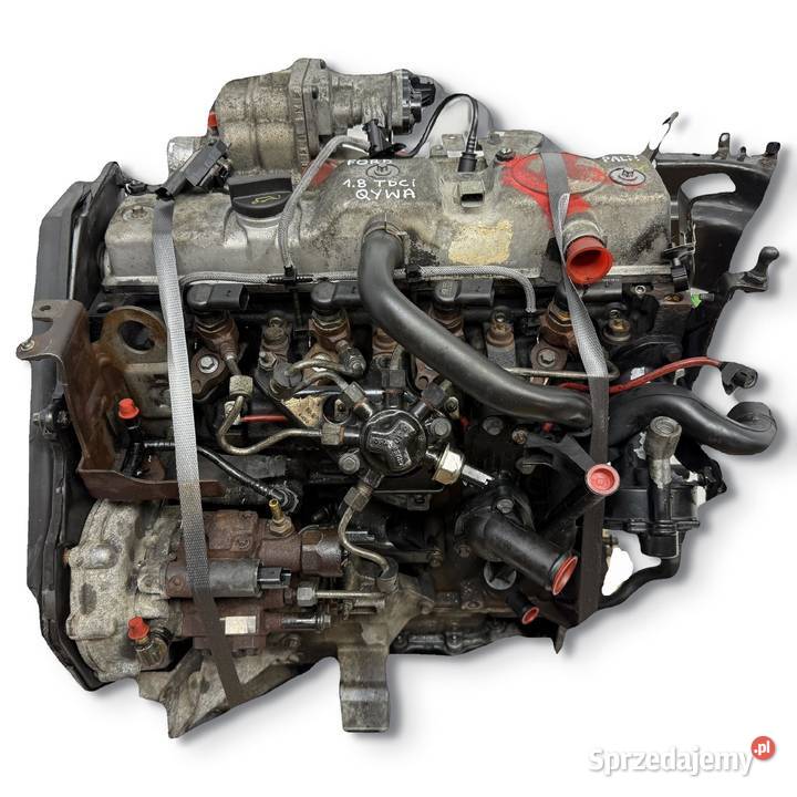SILNIK QYWA Ford Galaxy II MK2 S S 18 TDCI 125 Chełm
