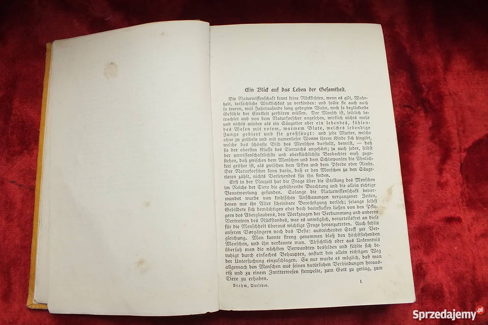 Stara niemiecka książka powieść z 1926 roku lubuskie