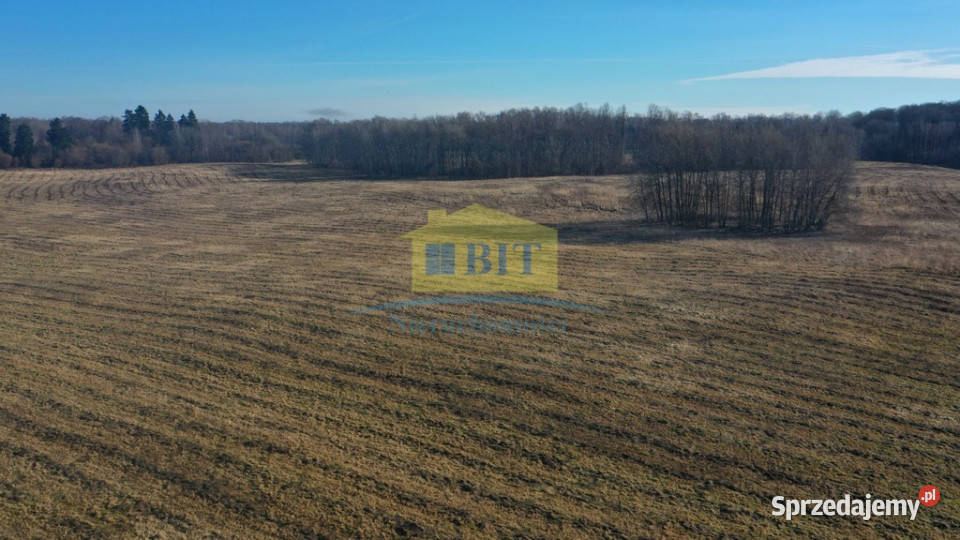 Działka 20ha z dostępem do Jeziora Kaleńskiego rolna