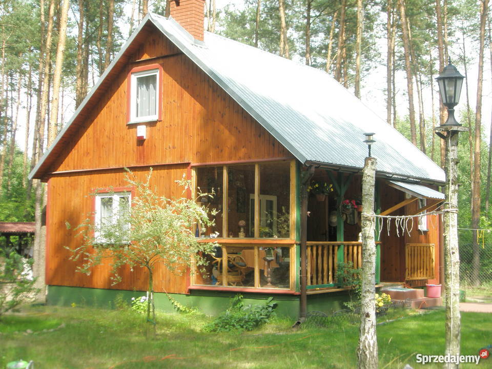 Piękna działka leśna z domkiem całorocznym 1240m2 Krajęczyn