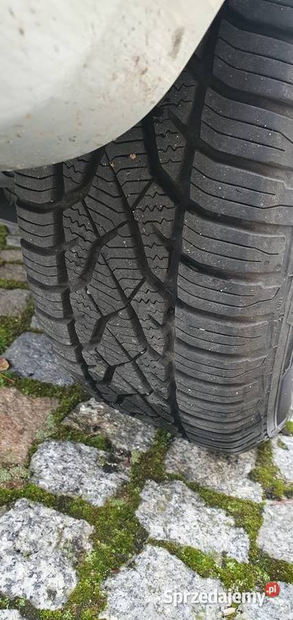 18565 r15 Barum quartaris all seasons 185 śląskie Gliwice