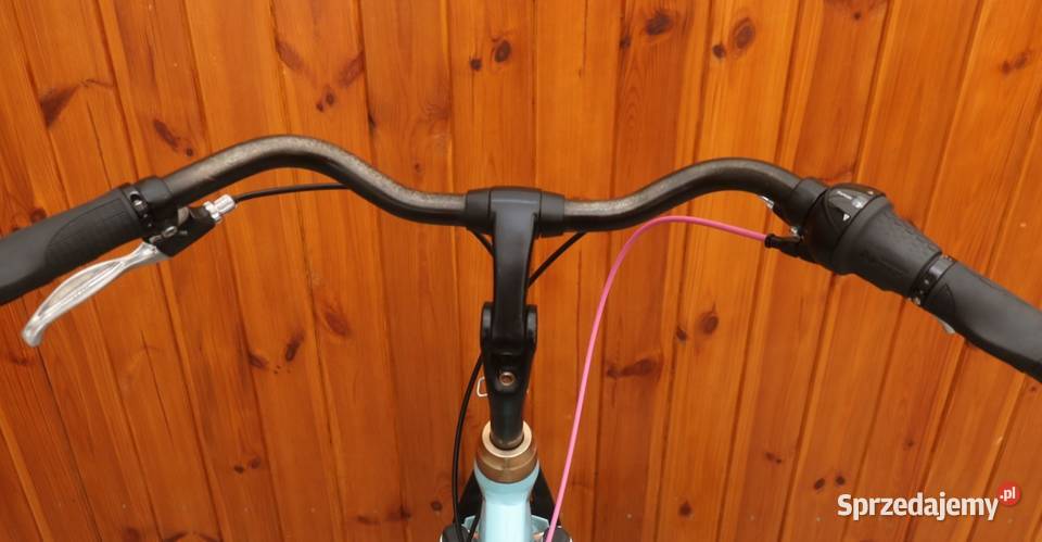 Rower damski Batavus Dins Dag D 48 inne rowery Milanówek